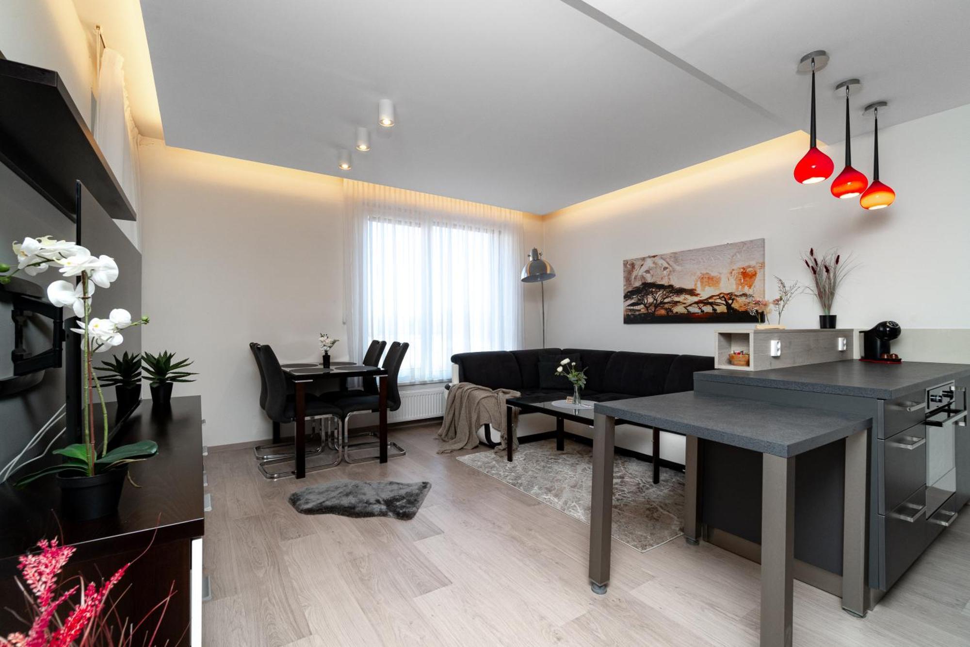 Bnb New Beautiful Apartment In The Center Of Ostrava With Option Garage Parking Екстериор снимка