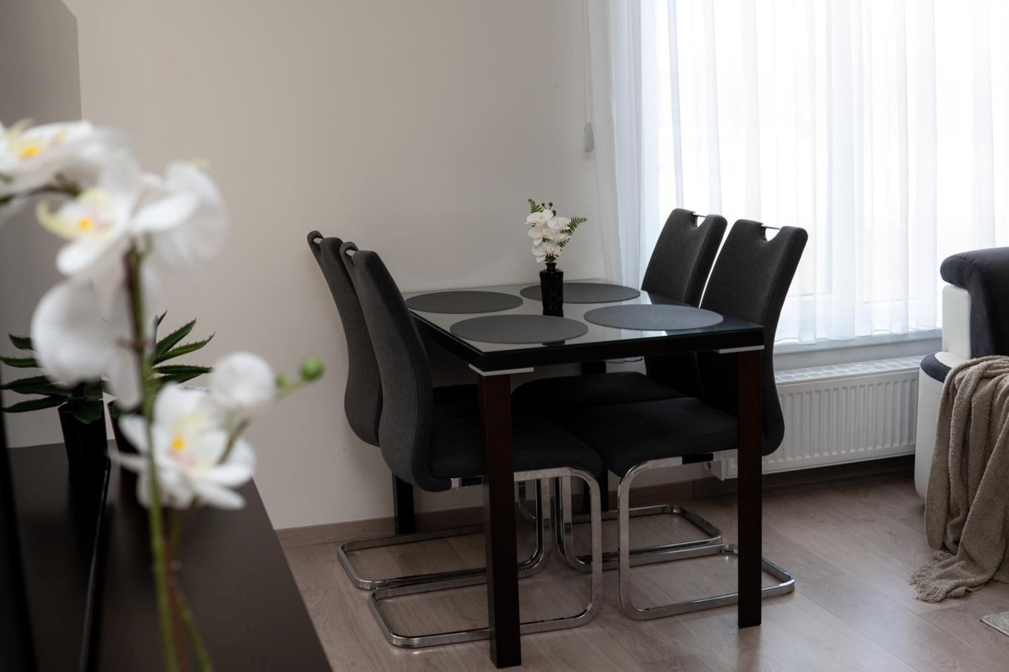 Bnb New Beautiful Apartment In The Center Of Ostrava With Option Garage Parking Екстериор снимка